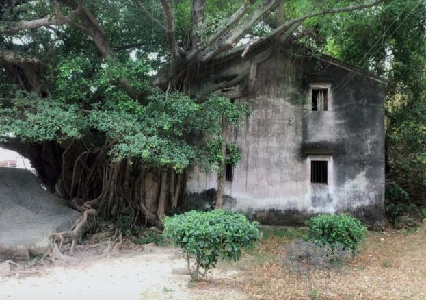 Dahoong Hongxuan Wang