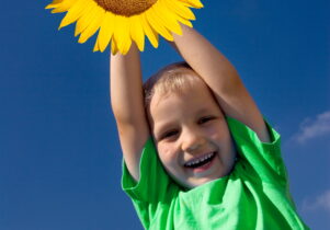Sun Flower Image