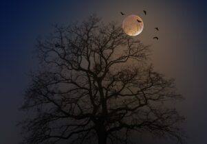 Tree at night with the moon and bats flying