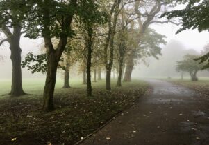 Foggy trees in Alexander Park, Hulme.