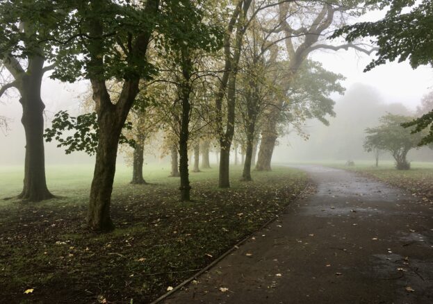 Foggy trees in Alexander Park, Hulme.
