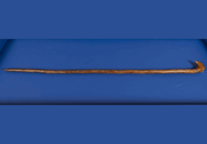 Image of curved wooden brown wood cane on a blue background.