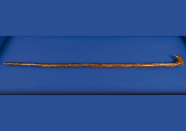 Image of curved wooden brown wood cane on a blue background.