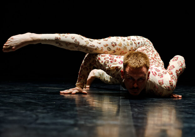 Thick & Tight - Natural Behaviour at Lowry