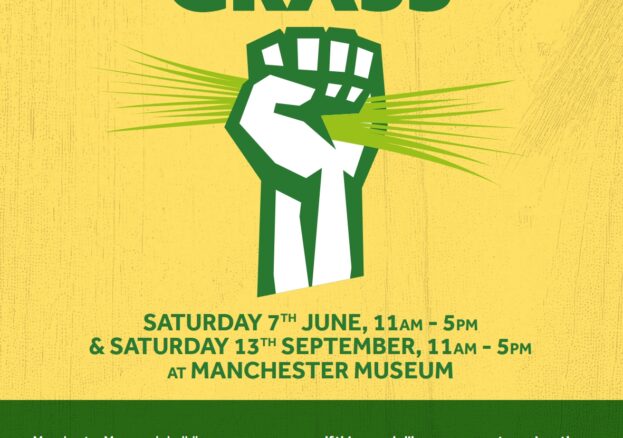 poster for Touch Grass event