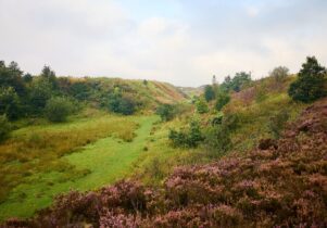 The landscape of a grassy hills covered in pink shrubs and a sky full of clouds.