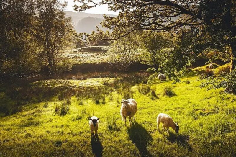 Windermere & the Lake District Tour