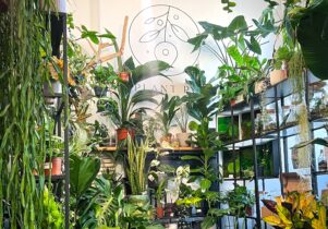 Plant Point