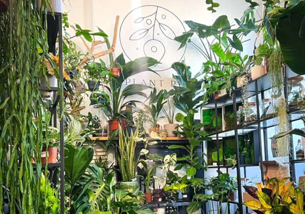 Plant Point