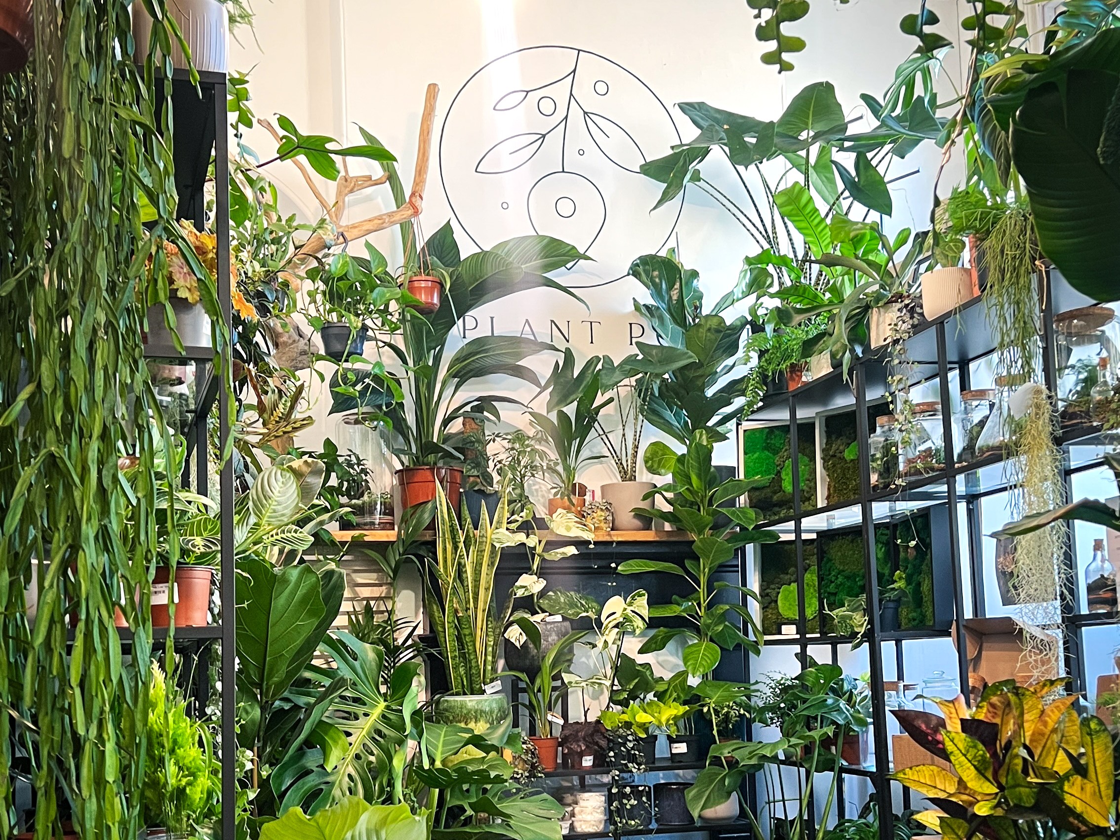 Plant Point - Corn Exchange | Creative Tourist
