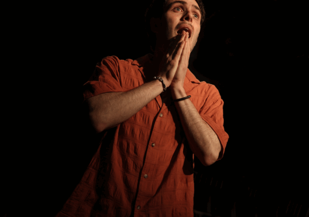 Cock at Shakespeare North Playhouse.
