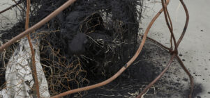Detail of an abstract sculpture, with burned materials and rusty chicken wire at the centre, with rusted metal bars bent around it.