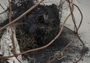 Detail of an abstract sculpture, with burned materials and rusty chicken wire at the centre, with rusted metal bars bent around it.