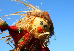 Photo of a scarecrow