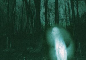 Even More...Ghost Stories by Candlelight at Shakespeare North Playhouse: A dark, eerie forest scene at night with tall, leafless trees silhouetted against a greenish-blue sky. In the foreground, there is a glowing, translucent white figure that resembles a ghost or apparition, with a faint human-like shape and an ethereal aura, standing on the forest floor.