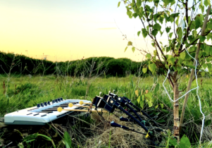A tree sapling hooked up to and playing a keyboard