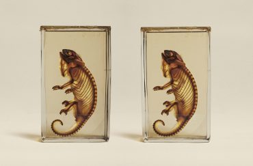 The quiet photographer. - Creative Tourist