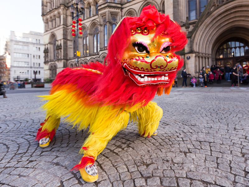 chinese new year video lion dance