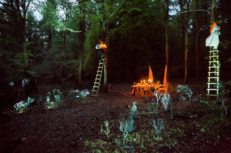 Tree and Wood by Jony Easterby