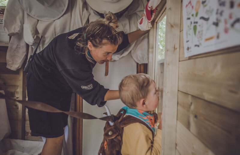 Viewing the Honey Bees at Wild Worlds