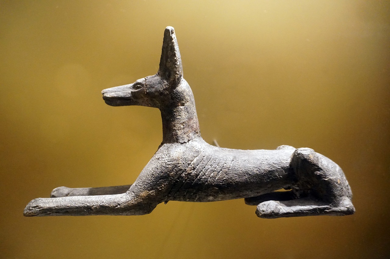 Ancient Egyptian Animals at Wakefield Museum Creative Tourist