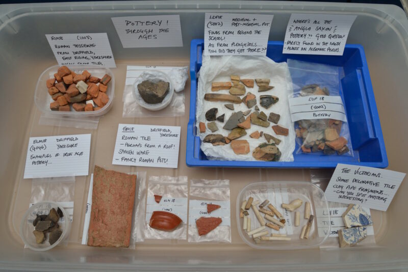 A table with a various archaeological finds catalogued. Example of what may be discovered during the Junior Archaeology event.