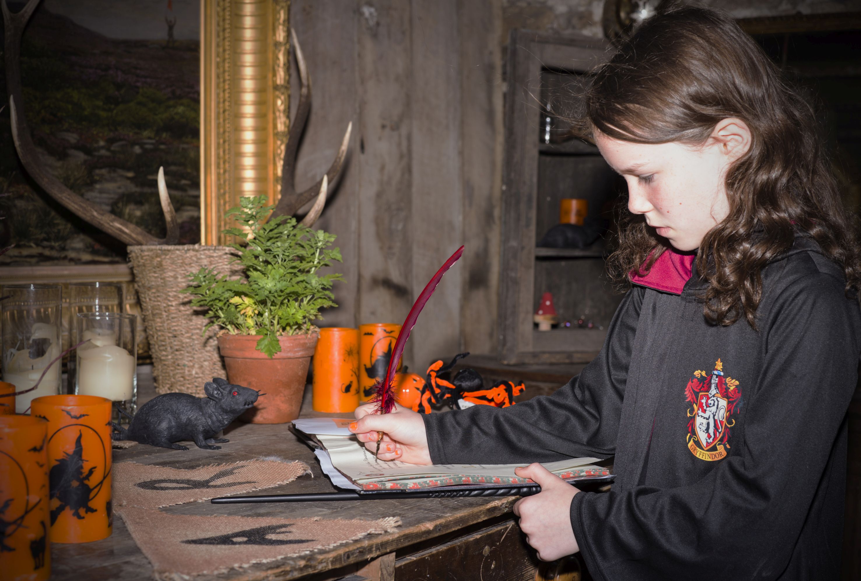 Girl dressed in halloween costume for Little School of Sorcery event at Haddon Hall. 